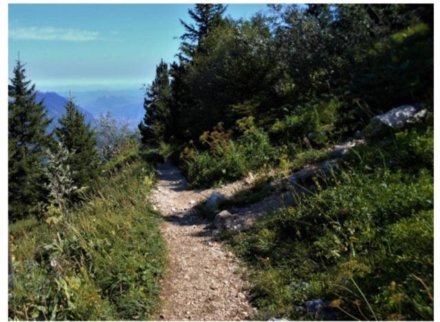 Grenoble Sud Varces Suite Privatisee Au Pied Des Montagnes Eksteriør bilde